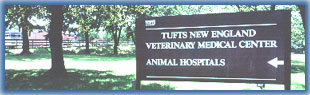 Foster Hospital for Small Animals at Tufts University 