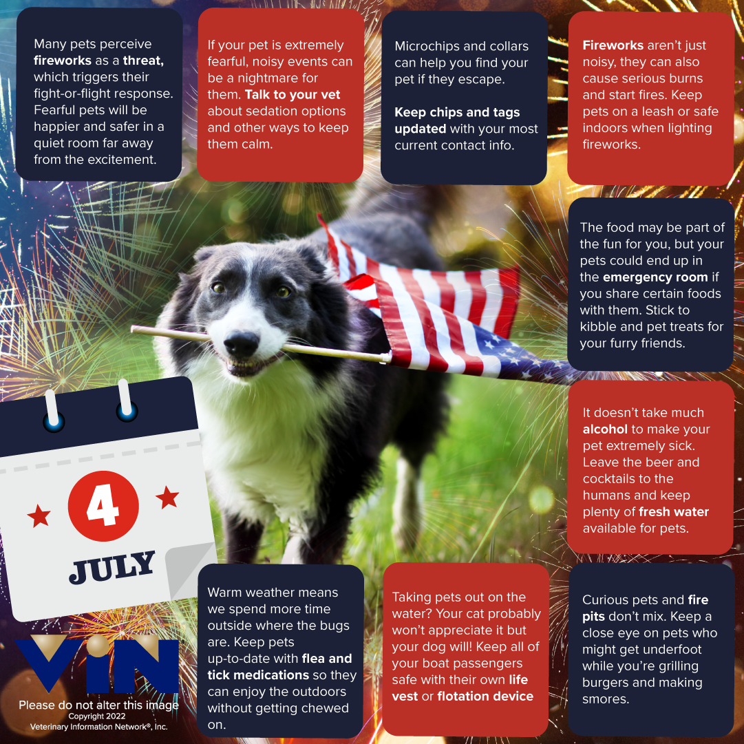 July 4th Infographic