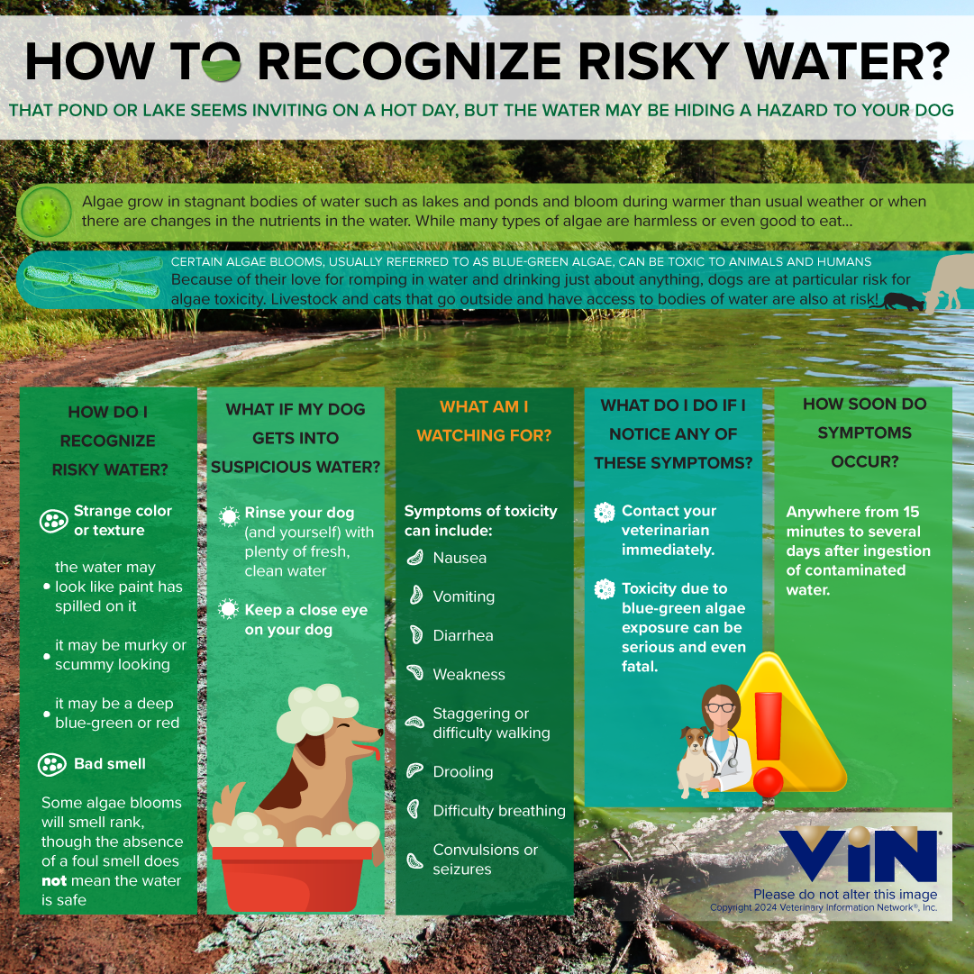 Risky waters