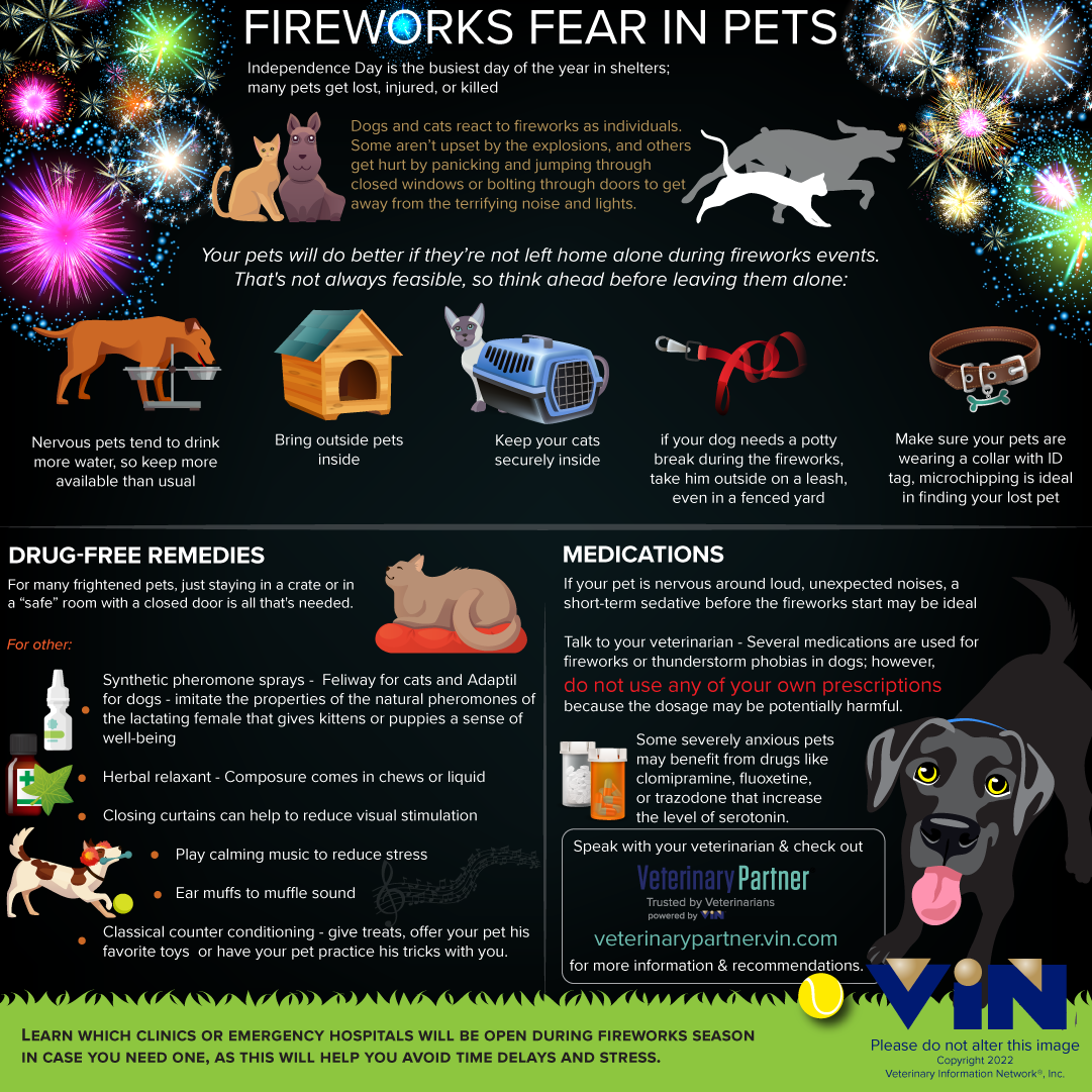 Managing Fireworks Fear in Your Pets