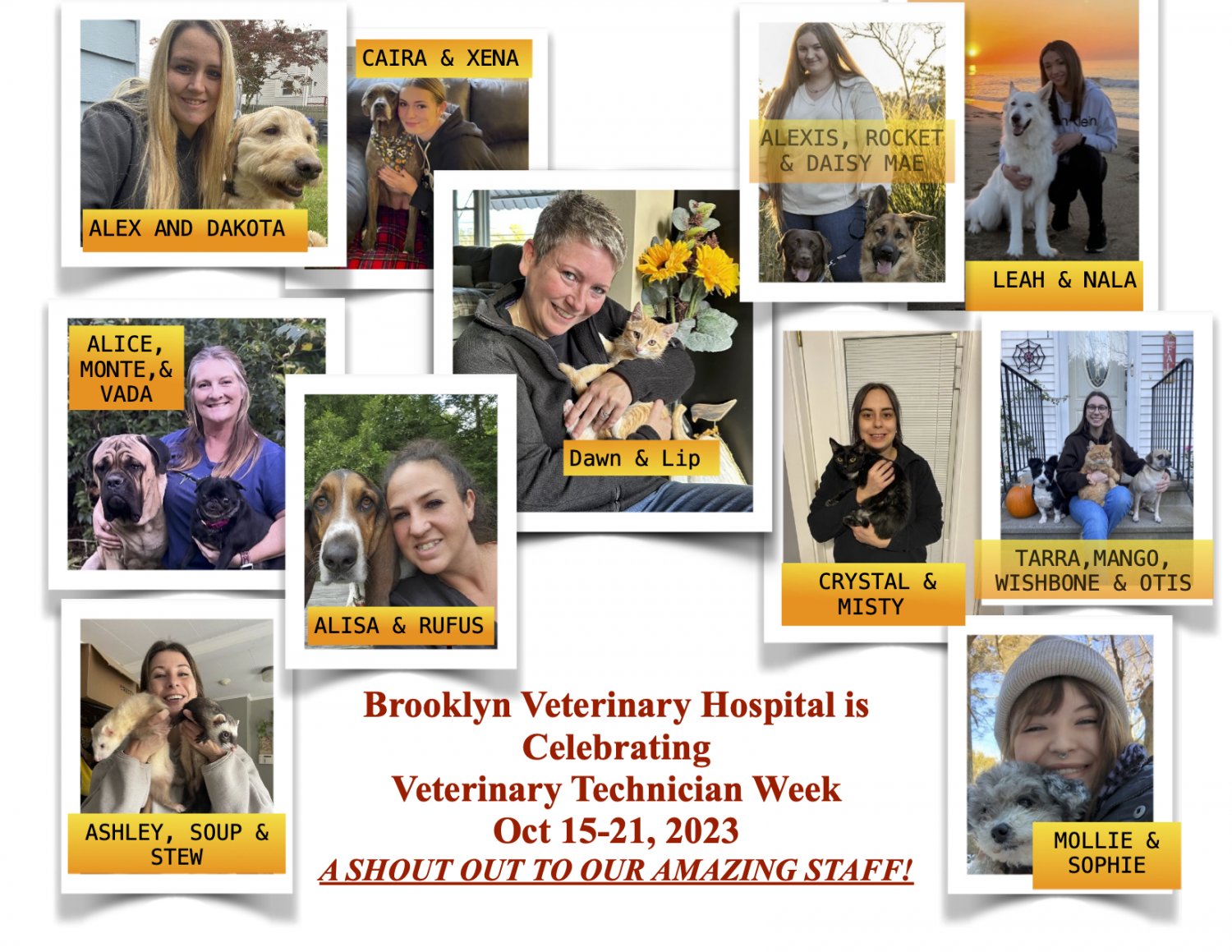 2023 Veterinary Technician Week