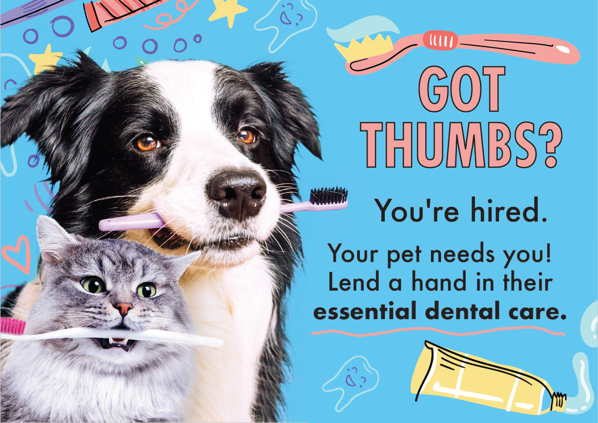 February is Dental Health Month