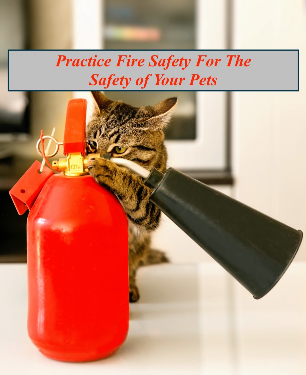 Fire Safety For Your Pets and Family