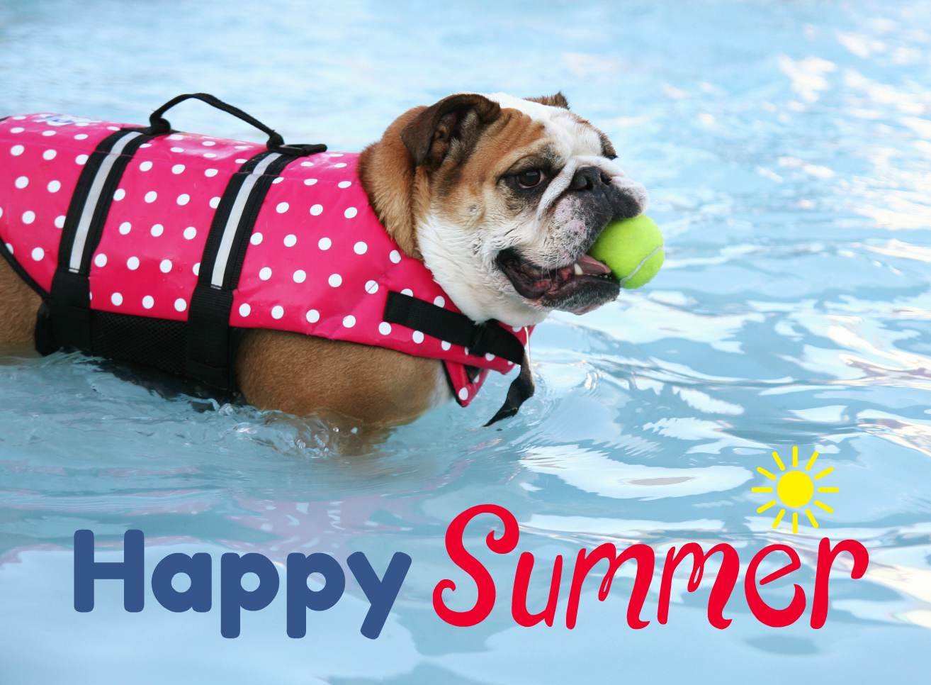 Summer Safety Tips