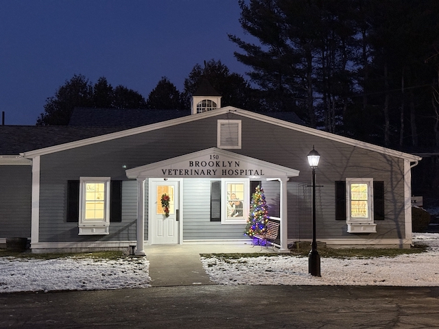 BROOKLYN VETERINARY HOSPITAL CELEBRATES CHRISTMAS