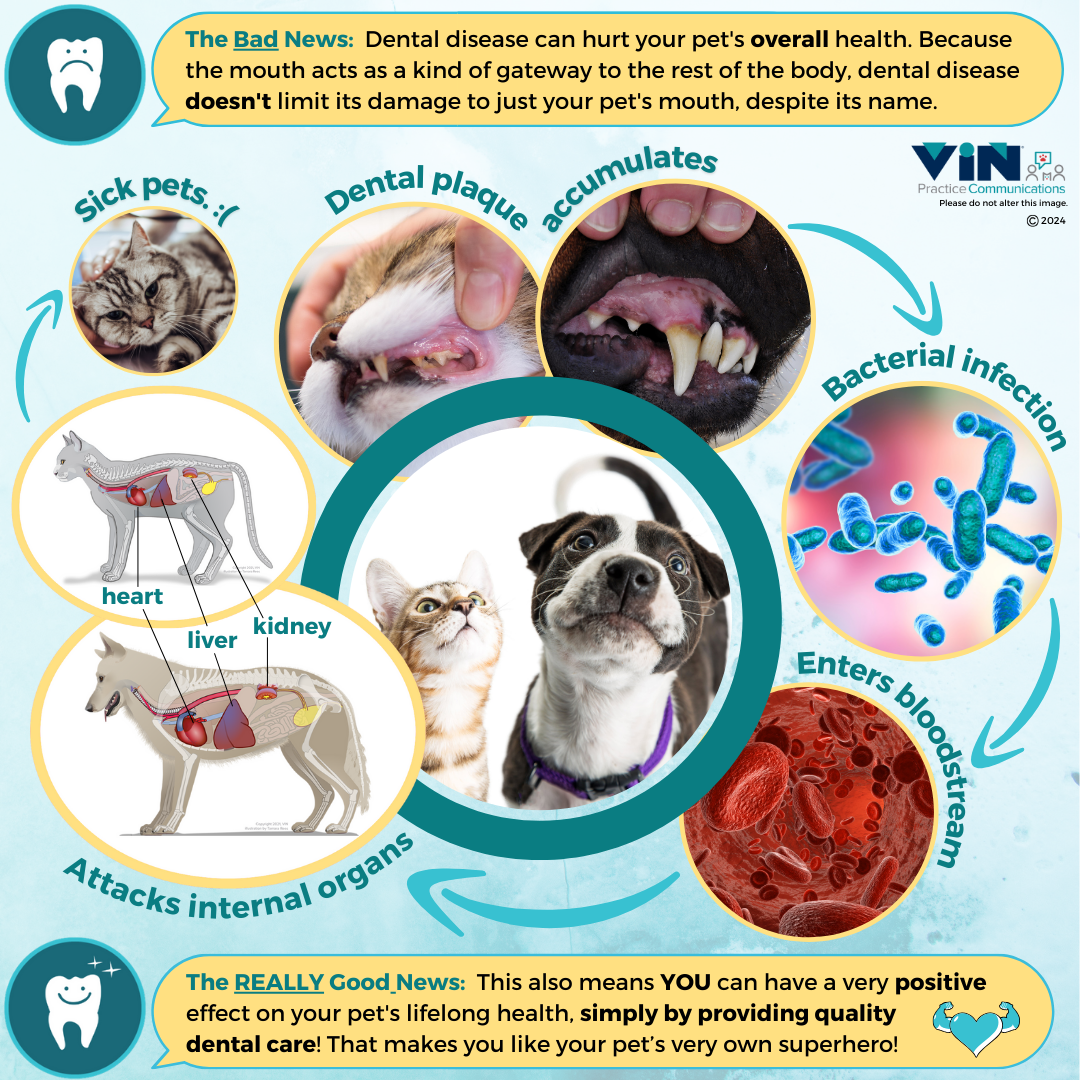 Dental Health in Dogs and Cats Counts Too!