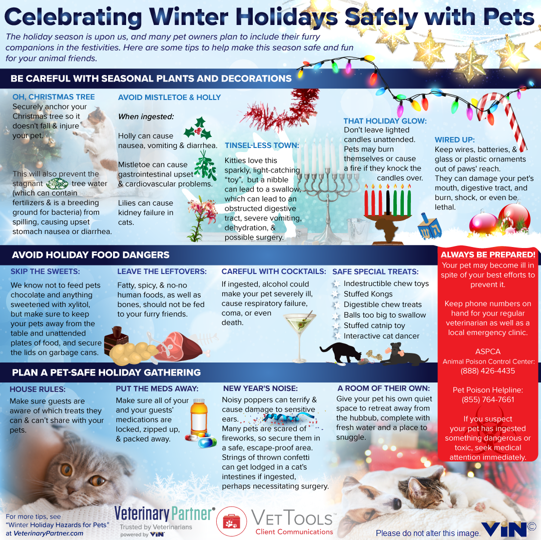 PET HOLIDAY SAFETY TIPS