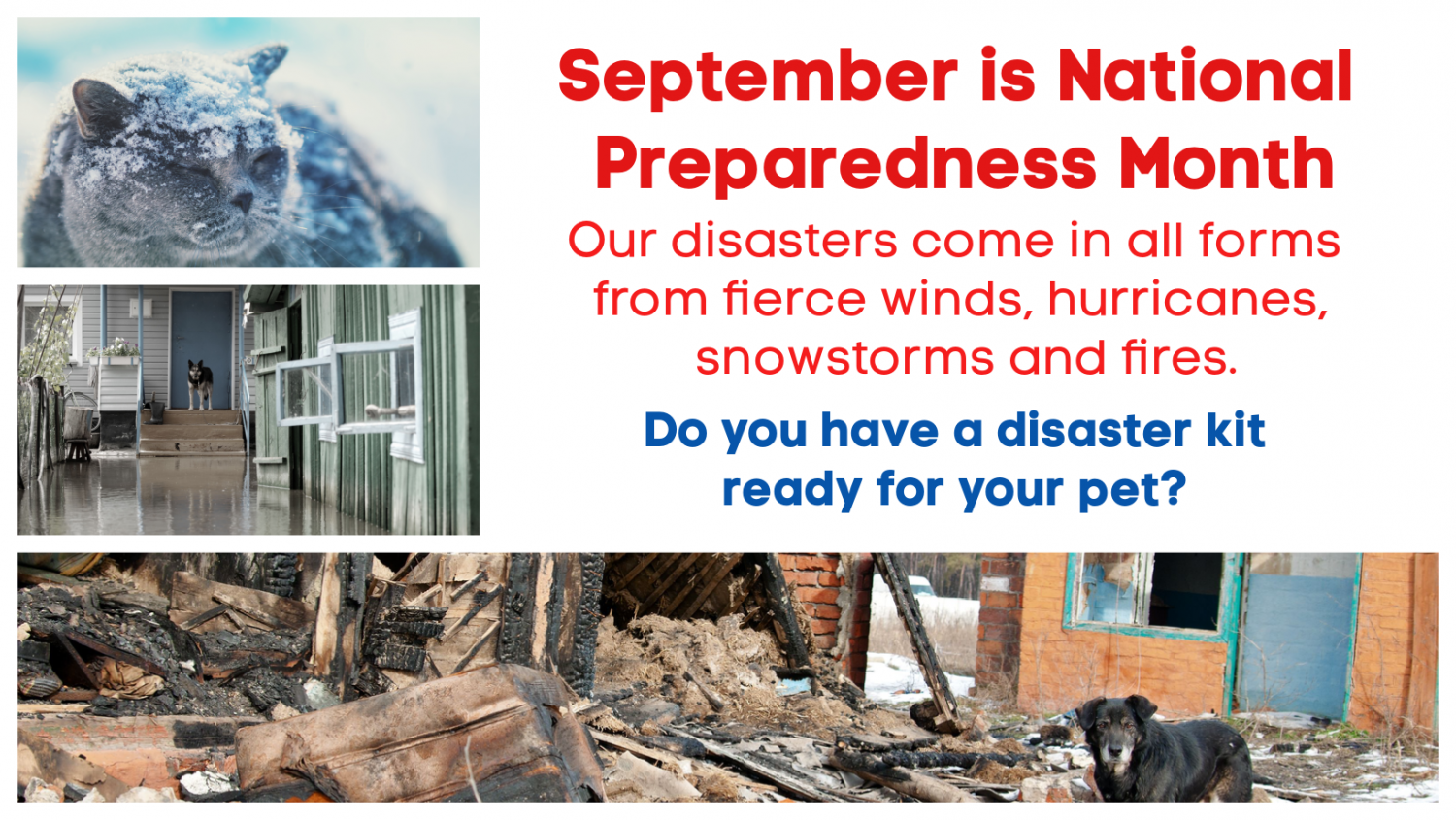 September is National Disaster Preparedness Month