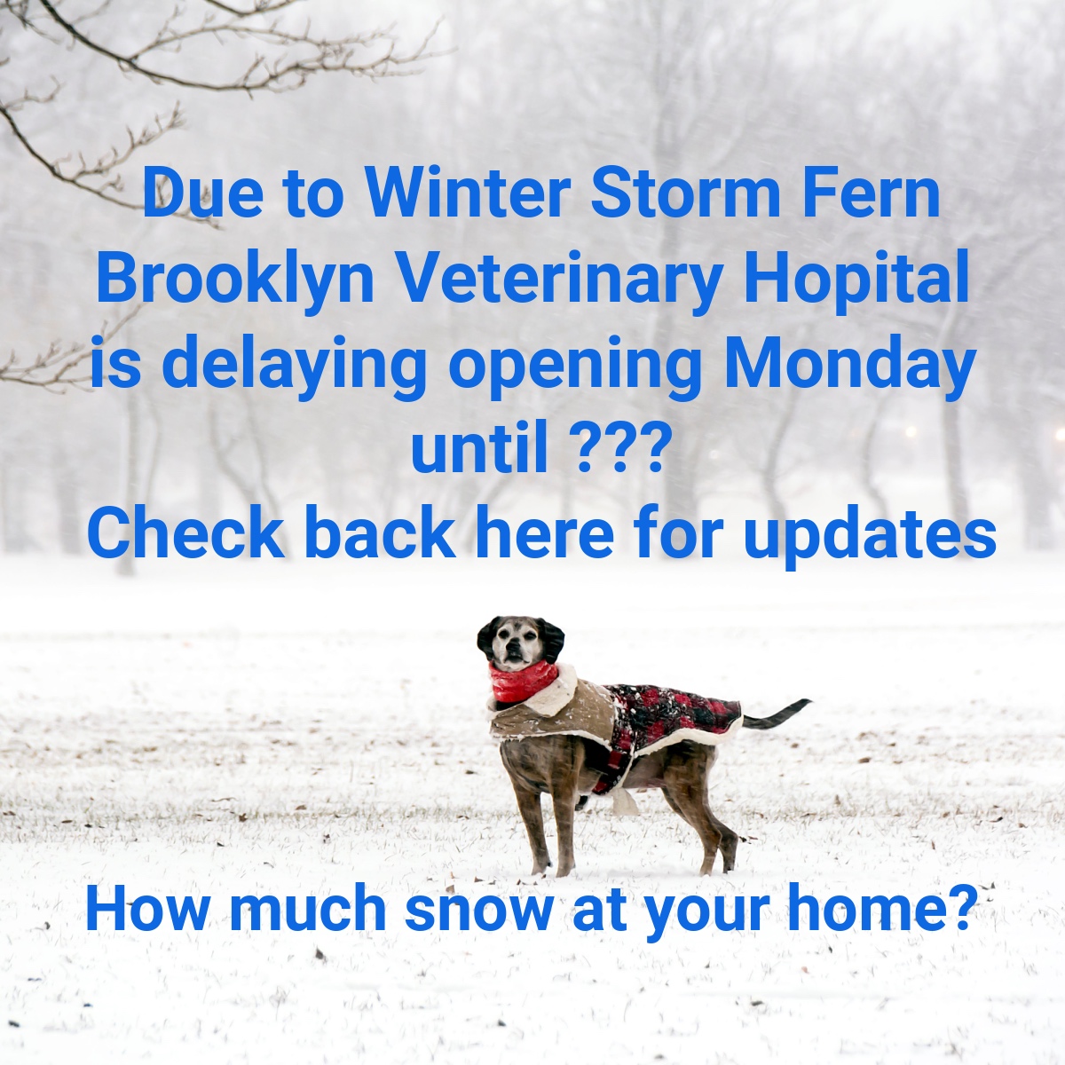 Winter Storm Fern Closures